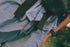 ULSUS Ultra4 Shorts